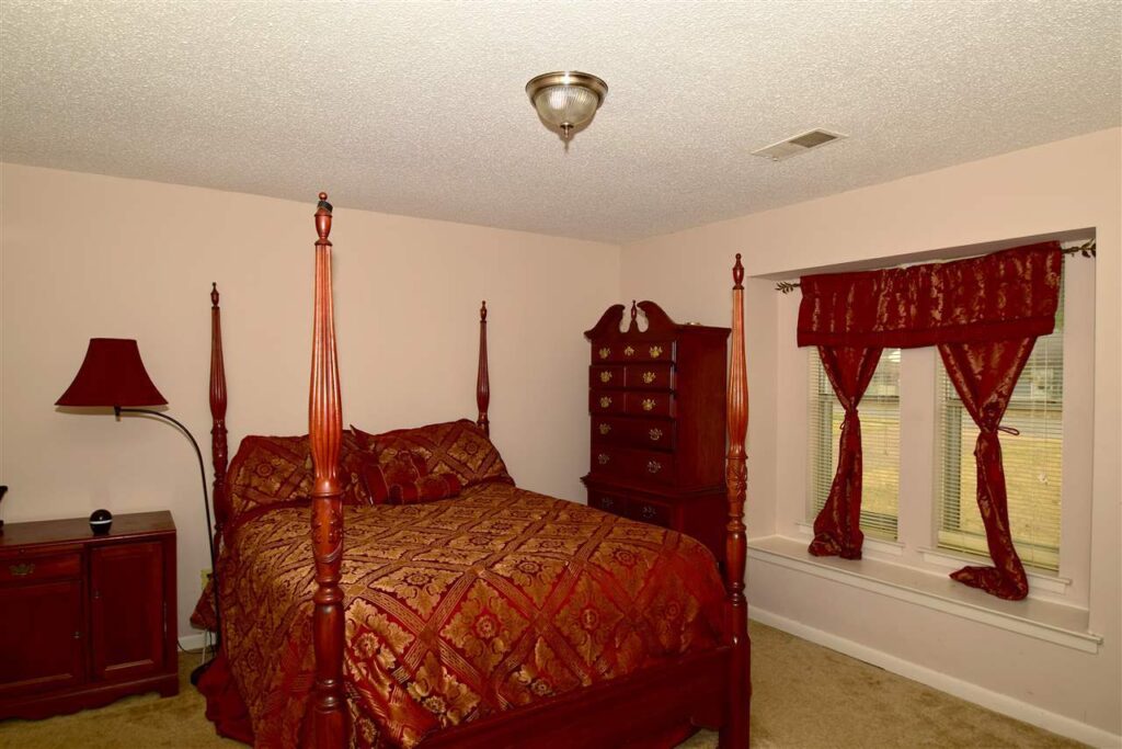 Vaulted Ceilings and Shed