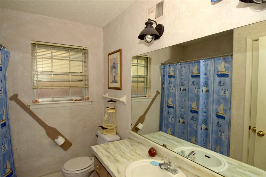 Vaulted Ceilings and Shed