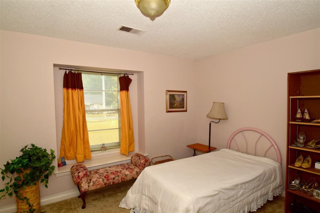 Vaulted Ceilings and Shed