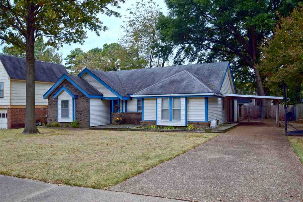 Vaulted Ceilings and Shed