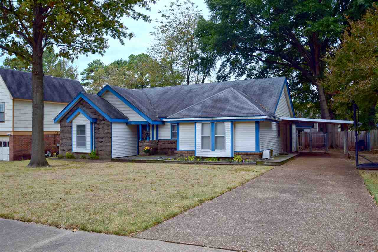 Vaulted Ceilings and Shed