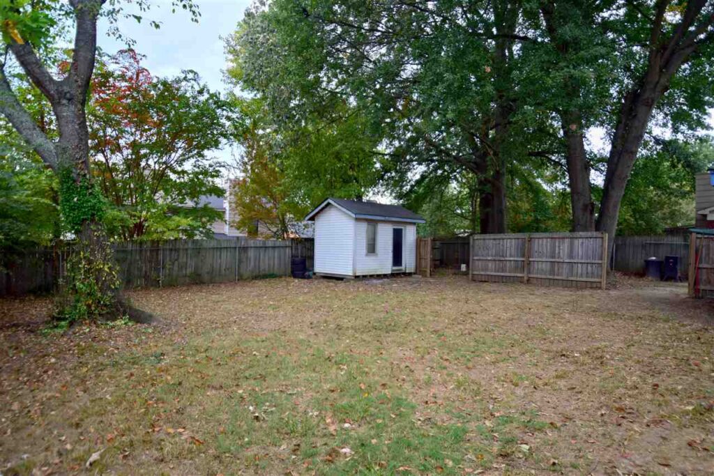 Vaulted Ceilings and Shed